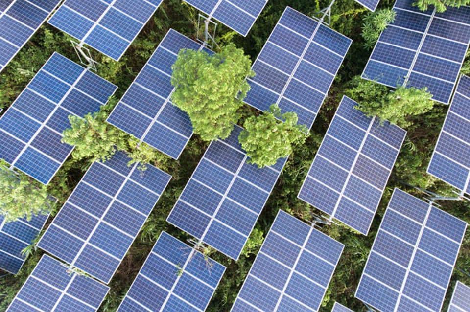 jinko solar panel